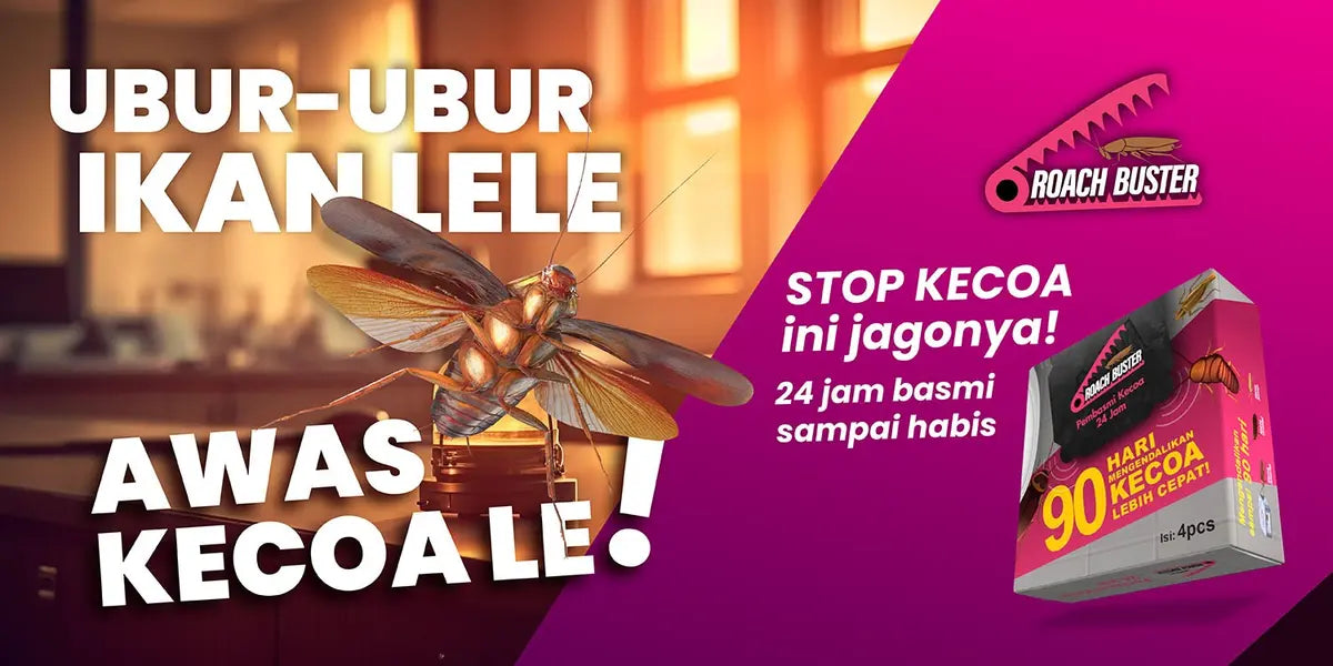 Anti Kecoa
