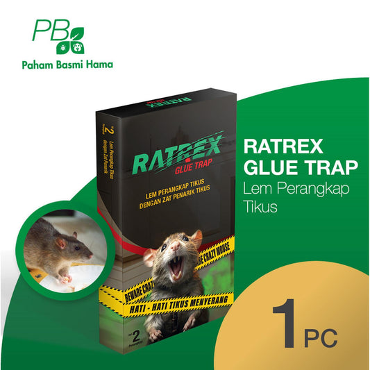 Ratrex Glue Trap - Lem Perangkap Tikus - isi 2 Perangkap - 80 gram